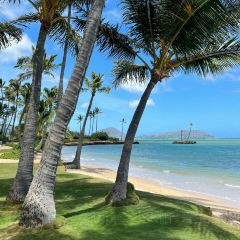 Hoku's User Photo