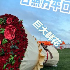 御尚私房菜·平价海鲜·央视渔家菜(东夷小镇店) User Photo