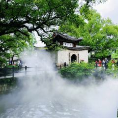 山林食事私家手作 User Photo
