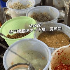 QIAN DA SHU DA PAI DANG User Photo