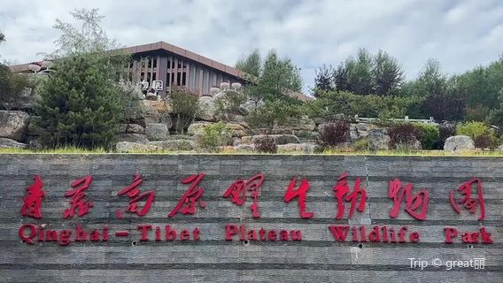 Qinghai-Tibet Plateau Wildlife Park - Large Rare Animal Pavilion