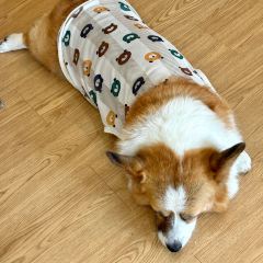 抖冰張用戶圖片