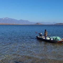 观湖台 User Photo