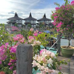 Summer Breeze Cafe張用戶圖片