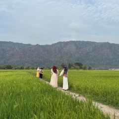 Warung Tepi Sawah 2769 User Photo