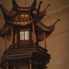 夜鵑Chinese Room張用戶圖片