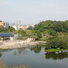 小隱圍屋張用戶圖片