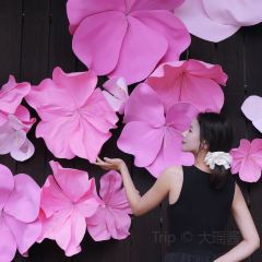 观度文里咖啡 User Photo