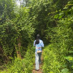 山涧别院 User Photo