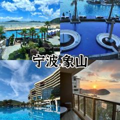 鱼当家 User Photo
