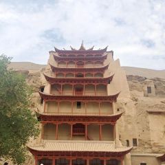 杨记干粮 User Photo