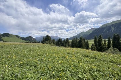 海拨3300米烧烤店