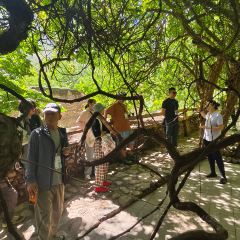 芒康云曲庄园酒店·全日制餐厅 User Photo