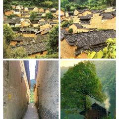 王景状元饼(英芳店) User Photo