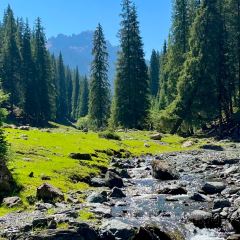 Shagou (miaopude) bishushanzhuang User Photo