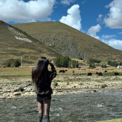 A Xi Tu Tao Yak Pot User Photo