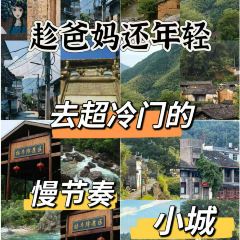 观度文里咖啡 User Photo