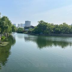 GU HAI GAO TUAN DIAN User Photo