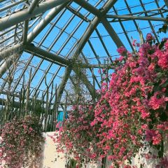 XING JI SUGAR CANE ICE User Photo