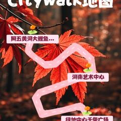 AWU YELLOW RIVER COMMON CARP 여행 사진