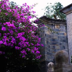 椿野咖啡館（和順店）張用戶圖片