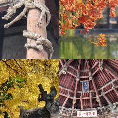 Mr chai Noodle User Photo