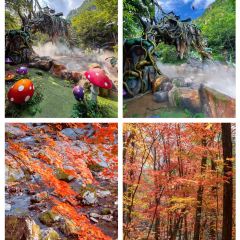 Number One User Photo