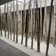 The Grand House Bar User Photo