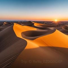 CHANGLUOHOU·BEEF PATTY WITH ALLIUM MONGOLICUM User Photo