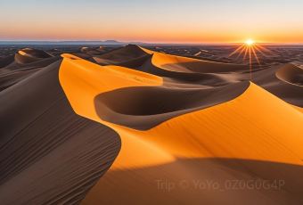 CHANGLUOHOU·BEEF PATTY WITH ALLIUM MONGOLICUM User Photo