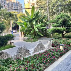 捌佰裡皖江別院張用戶圖片