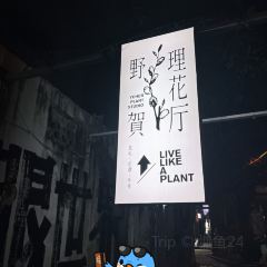 YEHER PLANT STUDIO User Photo