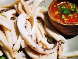 zi yang shao kao