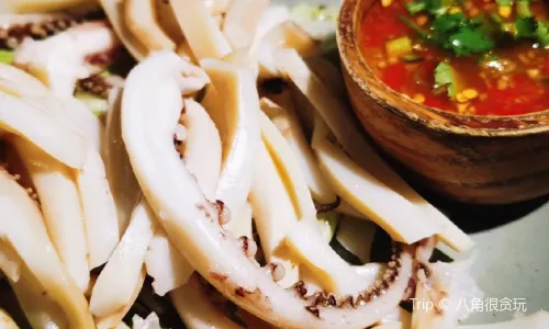 zi yang shao kao