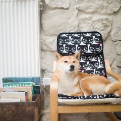 Shuzaoshe Coffee User Photo