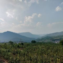 高老庄渔村 User Photo