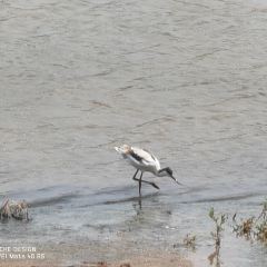 乌梁素海 User Photo