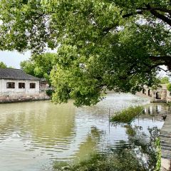 Wufangzhai (shendang) User Photo