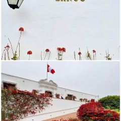 Cafe Museo Larco User Photo