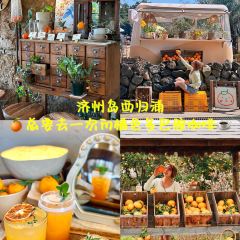 감따남 착한농장 여행 사진