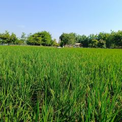 Yuyu Paopaowu User Photo