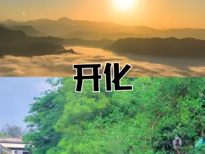 贤花特色馄饨