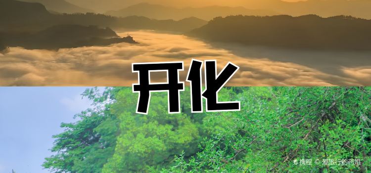 贤花特色馄饨