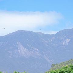 泉記燒鵝張用戶圖片