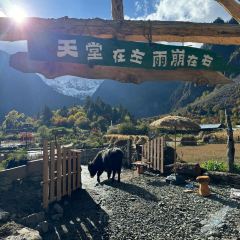 德欽雨崩山語民宿·野奢帳篷營地張用戶圖片