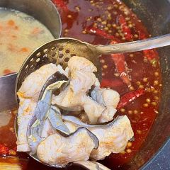 Yuzhidaoshiguohuoyuguan User Photo