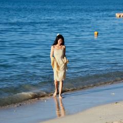 Ohas cafe (Kensington) User Photo