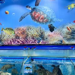 小海豚海鲜广场(清水湾店) 여행 사진