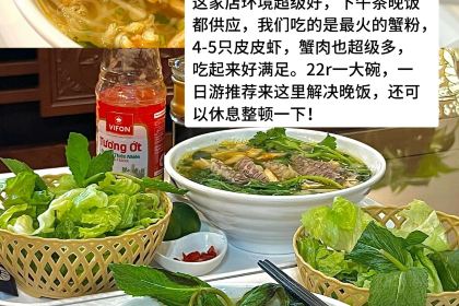 越南孟获炸鸡餐厅