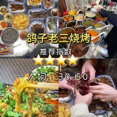 小石桥鸽子老三 User Photo